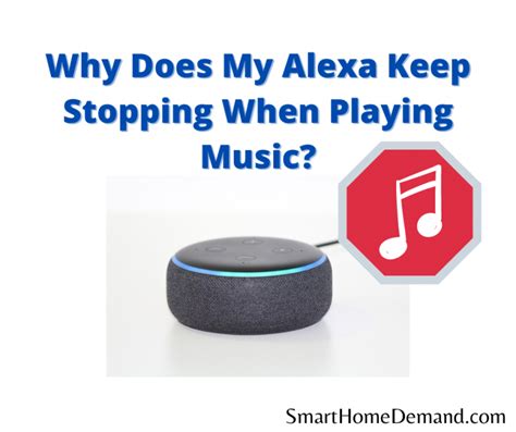 Why Does My Alexa Stop Playing Music: A Deep Dive into the Reasons and Solutions